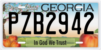GA license plate PZB2942