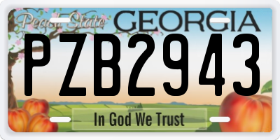 GA license plate PZB2943