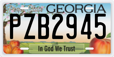 GA license plate PZB2945