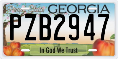 GA license plate PZB2947