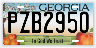 GA license plate PZB2950