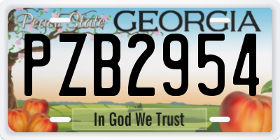 GA license plate PZB2954