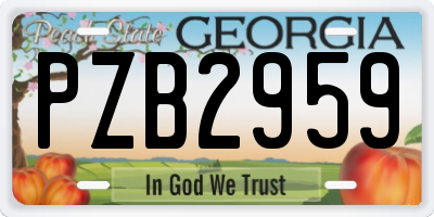GA license plate PZB2959