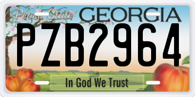 GA license plate PZB2964