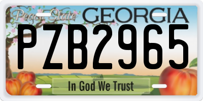 GA license plate PZB2965