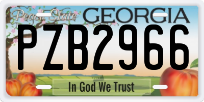 GA license plate PZB2966