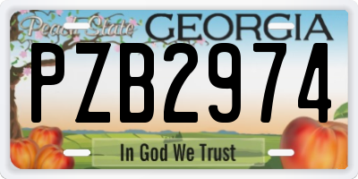GA license plate PZB2974
