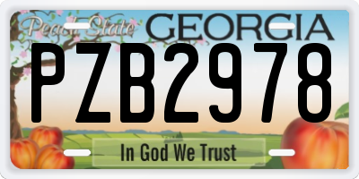 GA license plate PZB2978