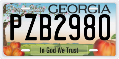 GA license plate PZB2980