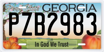 GA license plate PZB2983