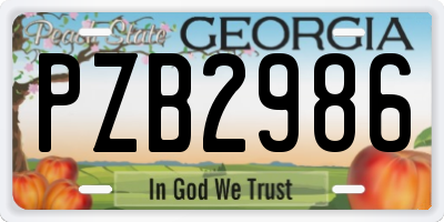 GA license plate PZB2986