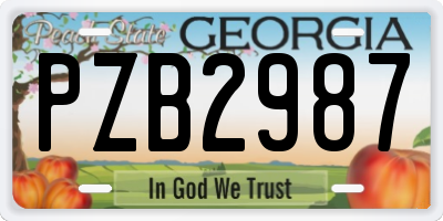 GA license plate PZB2987