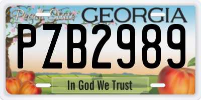 GA license plate PZB2989
