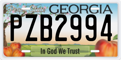 GA license plate PZB2994
