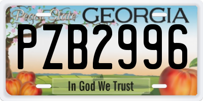 GA license plate PZB2996