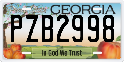 GA license plate PZB2998