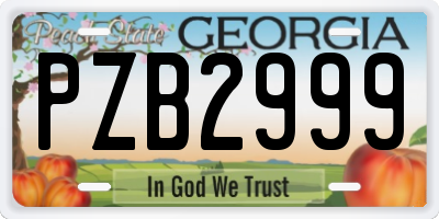 GA license plate PZB2999