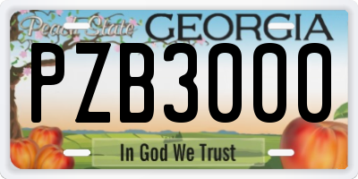 GA license plate PZB3000