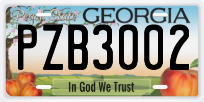 GA license plate PZB3002