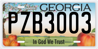GA license plate PZB3003