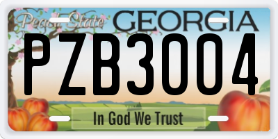 GA license plate PZB3004