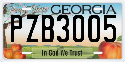 GA license plate PZB3005
