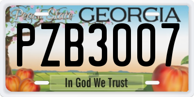 GA license plate PZB3007