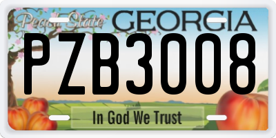GA license plate PZB3008