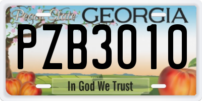 GA license plate PZB3010