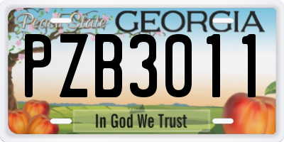 GA license plate PZB3011