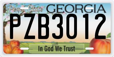 GA license plate PZB3012