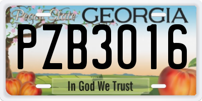 GA license plate PZB3016