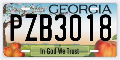 GA license plate PZB3018