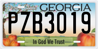 GA license plate PZB3019
