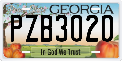 GA license plate PZB3020