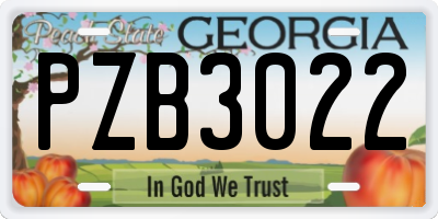 GA license plate PZB3022