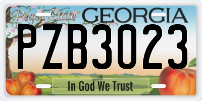 GA license plate PZB3023