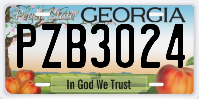 GA license plate PZB3024