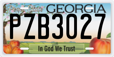 GA license plate PZB3027