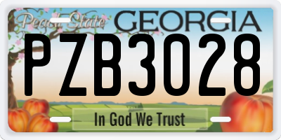 GA license plate PZB3028