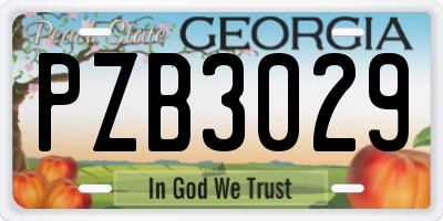 GA license plate PZB3029