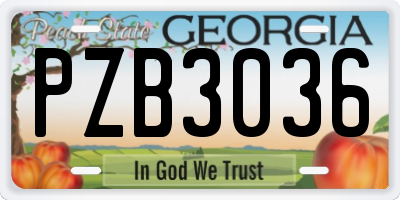 GA license plate PZB3036