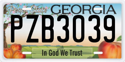 GA license plate PZB3039