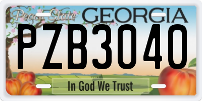GA license plate PZB3040