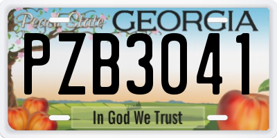 GA license plate PZB3041