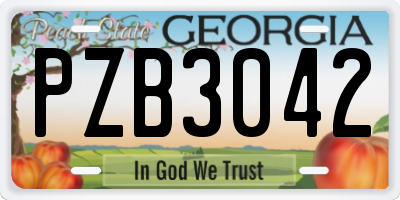 GA license plate PZB3042