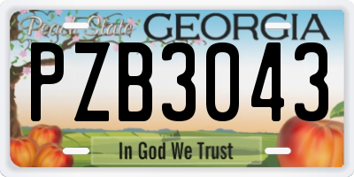 GA license plate PZB3043