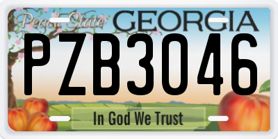 GA license plate PZB3046