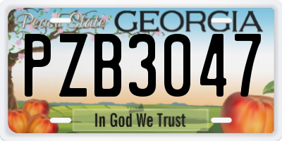 GA license plate PZB3047