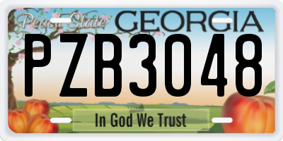 GA license plate PZB3048